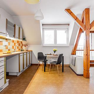 Prodej pokoje 110 m&sup2; Písek