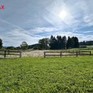 Prodej louky 12 992 m² Hořice na Šumavě