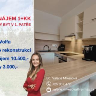 Pronájem bytu 1+kk a garsoniéry 30 m² České Budějovice 2, V. Volfa