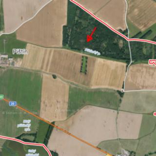 Prodej lesa 1 919 m² Pištín Češnovice