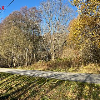 Prodej stavební parcely 1516 m² Horní Stropnice