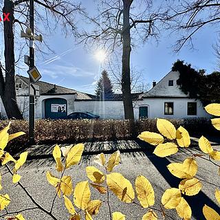 Prodej zemědělské usedlosti 877 m² Mladošovice