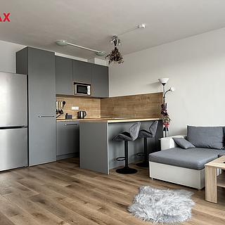 Pronájem bytu 1+kk, garsoniery 38 m² České Budějovice