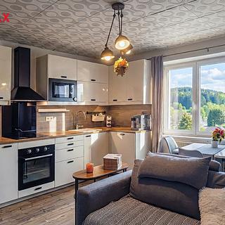 Prodej bytu 3+kk 53 m² Benešov nad Černou