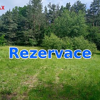 Prodej louky 7 666 m² Křemže