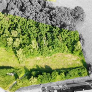 Prodej stavební parcely 3 500 m² Dubičné