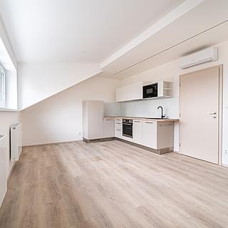 Pronájem bytu 1+kk a garsoniéry 29 m² Brno Královo Pole, Palackého třída