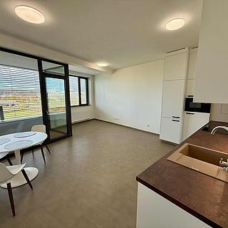 Pronájem bytu 3+kk, 95m²