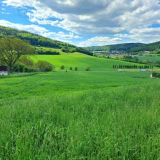 Prodej stavební parcely 10 232 m² Heroltice