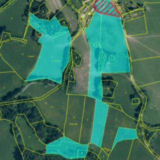 Prodej zemědělské půdy 75440 m² Kolinec