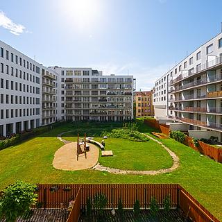 Pronájem bytu 1+kk a garsoniéry 26 m² Brno Trnitá, Trnitá