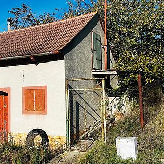 Prodej vinného sklepa 100 m² Velké Bílovice