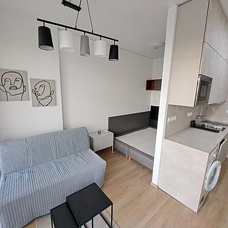Pronájem bytu 1+kk, garsoniery 26 m&sup2; Brno