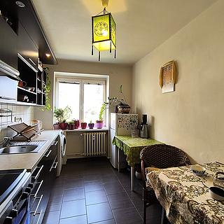 Prodej bytu 1+1 45 m² Brno Žabovřesky, Klímova