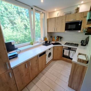 Prodej bytu 2+1 50 m² Brno
