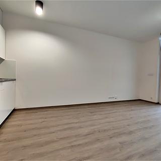 Pronájem bytu 1+kk a garsoniéry 27 m² Brno Trnitá, Placzkova