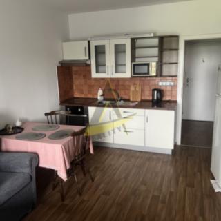 Pronájem bytu 1+kk, garsoniery 20 m² Veselí nad Lužnicí