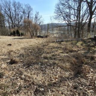 Prodej stavební parcely 3 452 m² Cheb Bříza
