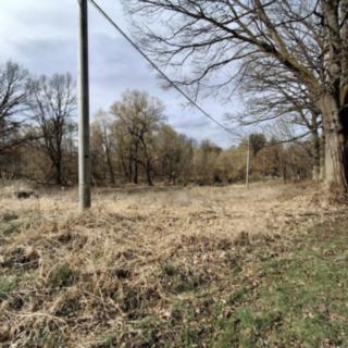 Prodej stavební parcely 4 644 m² Milíkov Těšov