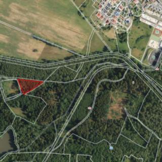 Prodej lesa 2 956 m² Františkovy Lázně, Jezerní