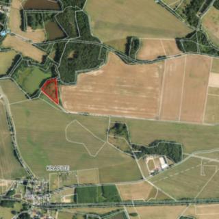 Prodej zemědělské půdy 7 083 m² Františkovy Lázně Krapice, Anglická