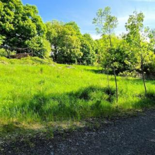 Prodej louky 2886 m² Hazlov