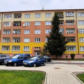 Prodej bytu 2+1 56 m² Cheb, V Zahradách