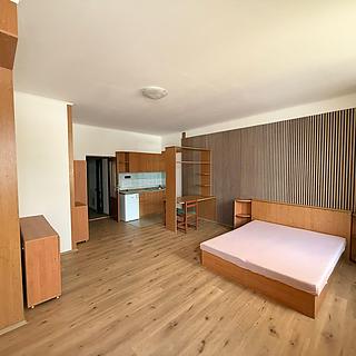 Pronájem bytu 1+kk a garsoniéry 30 m² Horka nad Moravou