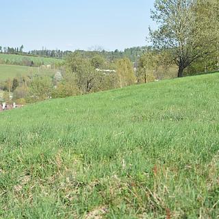 Prodej stavební parcely 11569 m² Domašov nad Bystřicí