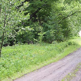 Prodej ostatního pozemku 4 584 m² Horní Heřmanice