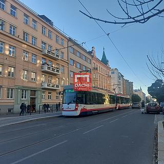Pronájem pokoje 24 m² Olomouc, Masarykova třída