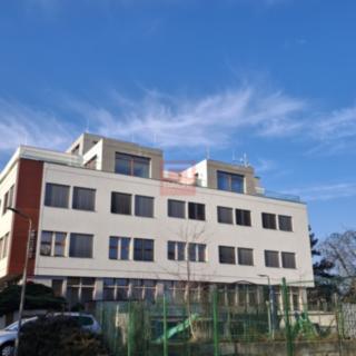 Pronájem kanceláře 16 m² Olomouc Nová Ulice, Wellnerova