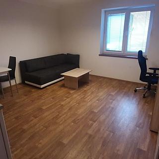 Pronájem bytu 1+kk a garsoniéry 27 m² Olomouc Nová Ulice, Balcárkova