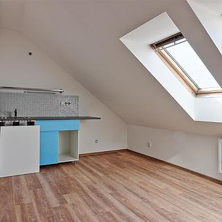 Pronájem bytu 1+kk a garsoniéry 19 m² Olomouc Hodolany, Zeyerova