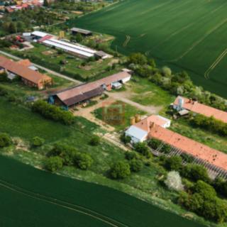 Pronájem zemědělské usedlosti 2 000 m² Morkovice-Slížany Slížany