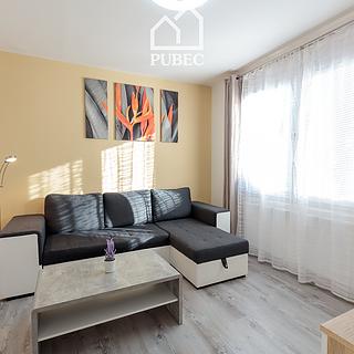 Prodej bytu 1+1 39 m² Železná Ruda, U Řezné