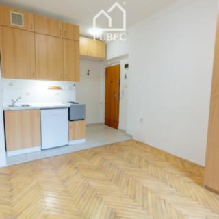 Pronájem bytu 1+kk a garsoniéry 19 m² Plzeň Východní Předměstí, Francouzská třída