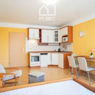 Pronájem bytu 1+kk a garsoniéry 37 m² Plzeň Severní Předměstí, Bolevecká