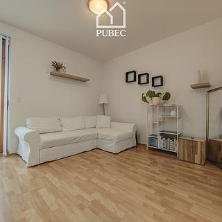 Pronájem bytu 2+kk 56 m² Plzeň Doubravka, Dílenská