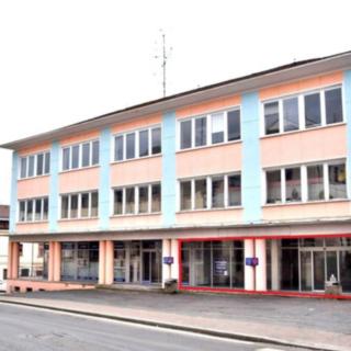 Pronájem obchodu 254 m² Tachov, K. H. Borovského