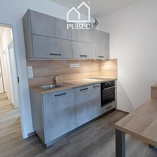 Pronájem bytu 1+kk a garsoniéry 38 m² Plzeň Severní Předměstí, Na Roudné