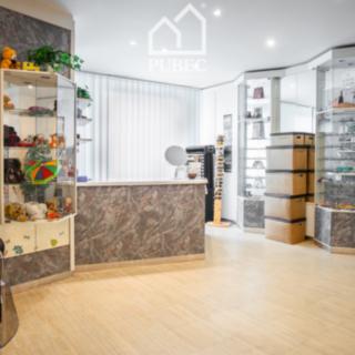 Prodej ostatního komerčního prostoru 63 m² Plzeň Bolevec, Manětínská