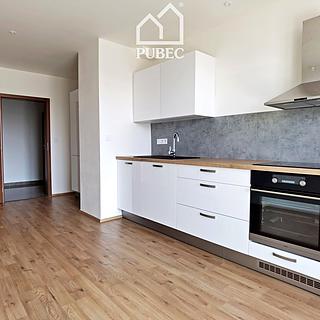 Pronájem bytu 1+1 44 m² Plzeň Jižní Předměstí, Poděbradova