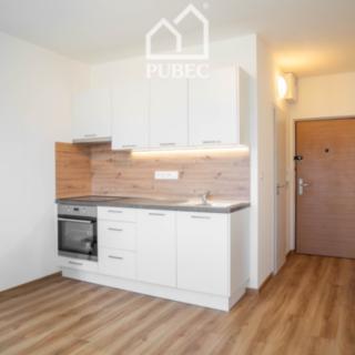 Pronájem bytu 1+1 40 m² Plzeň Bolevec, Studentská