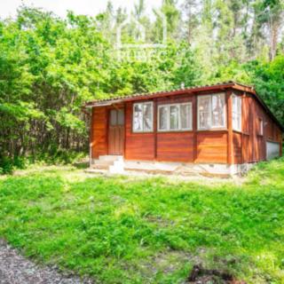 Prodej chaty 41 m² Dolany