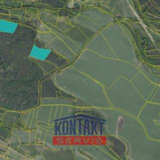 Prodej lesa 29 026 m² Obory