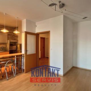Pronájem bytu 2+kk 64 m² České Budějovice 3, U Trojice