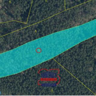 Prodej lesa 100 105 m² Bítouchov
