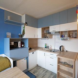 Pronájem bytu 1+kk, garsoniery 23 m&sup2; České Budějovice