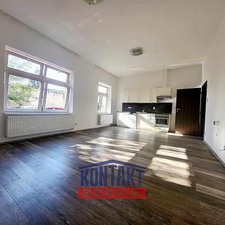 Pronájem bytu 1+kk a garsoniéry 48 m² České Budějovice 3